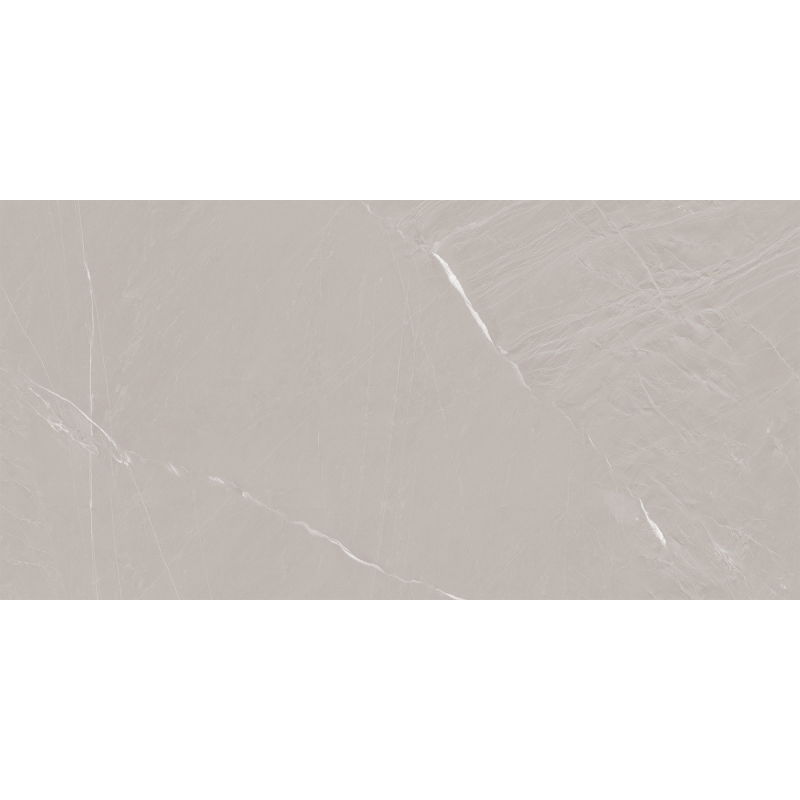 Mexen Windsar Grey glazed rectified porcelain tile sample G1, floor-wall tile, gloss - TL164-00-S