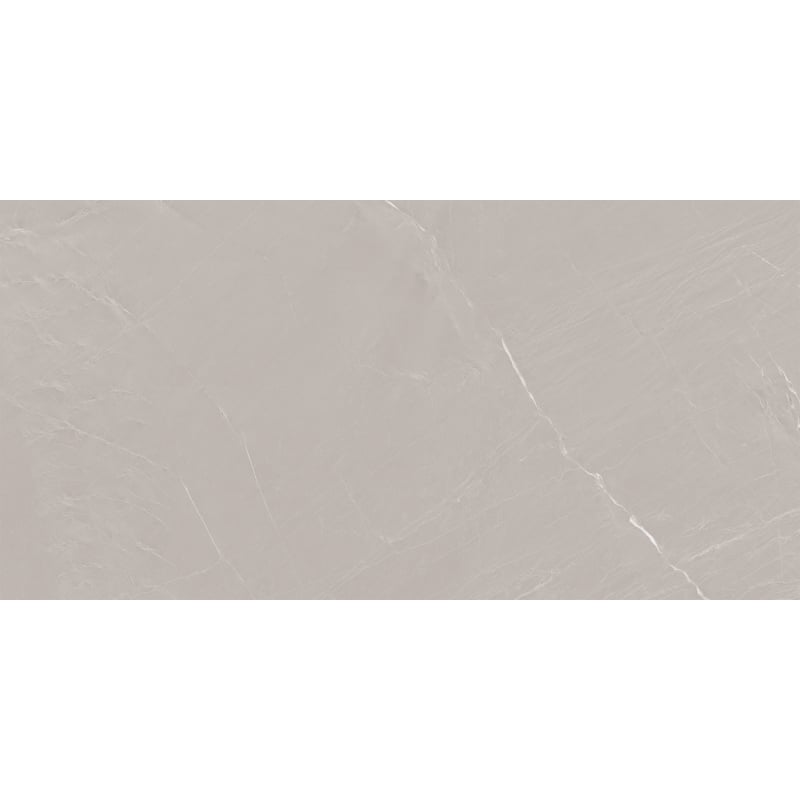 Mexen Windsar Grey sample of glazed rectified porcelain stoneware tile G1, floor and wall tile 120 x 60 cm, gloss - TL164-00-S