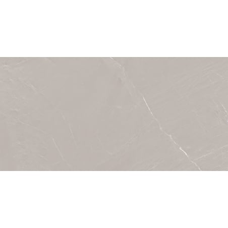 Mexen Windsar Grey sample of glazed rectified porcelain stoneware tile G1, floor and wall tile 120 x 60 cm, gloss - TL164-00-S