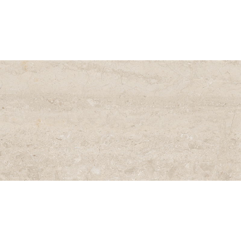 Mexen Dayno Classic glazed rectified stoneware sample G1, floor-wall tile 120 x 60 cm, gloss - TL166-01-S