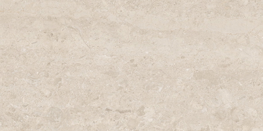Mexen Dayno Classic glazed rectified gres sample G1, floor-wall tile, gloss - TL166-01-S