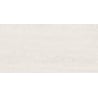 Mexen Dayno Bianco sample of glazed rectified stoneware tile G1, floor-wall tile, gloss - TL166-00-S