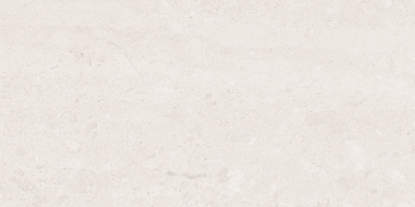 Mexen Dayno White sample of glazed rectified porcelain tile G1, floor-wall tile, glossy - TL166-00-S