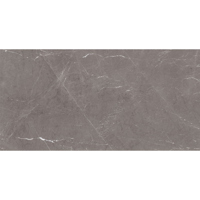 Mexen Gloster Grey sample of glazed rectified gres G1, floor and wall tile 120 x 60 cm, gloss - TL172-01-S
