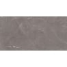 Mexen Gloster Grey sample of glazed rectified gres G1, floor and wall tile 120 x 60 cm, gloss - TL172-01-S