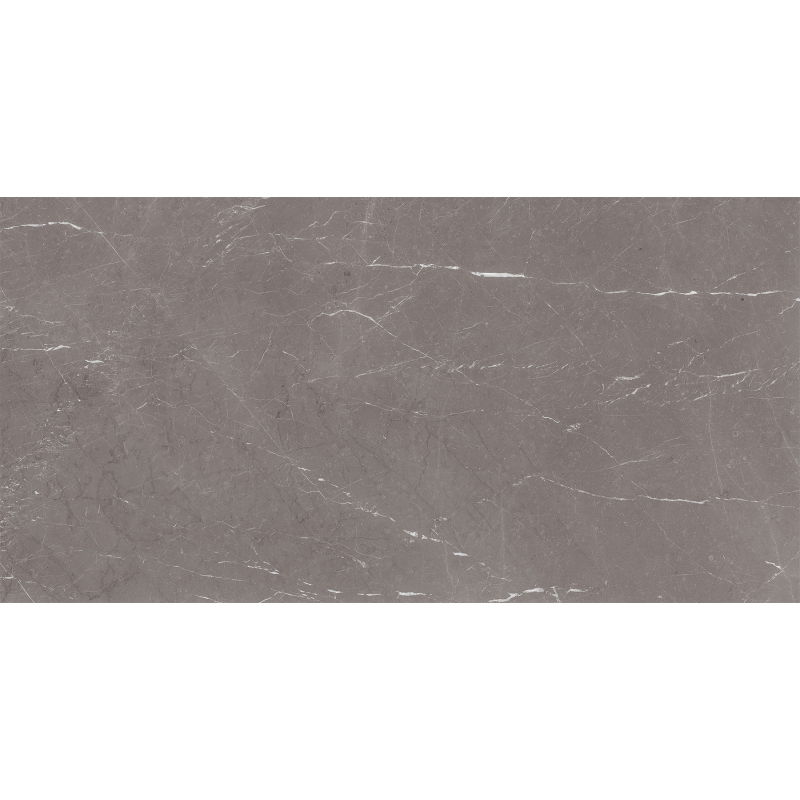 Mexen Gloster Grey sample of glazed rectified gres G1, floor and wall tile 120 x 60 cm, gloss - TL172-01-S