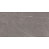 Mexen Gloster Grey sample of glazed rectified gres G1, floor and wall tile 120 x 60 cm, gloss - TL172-01-S