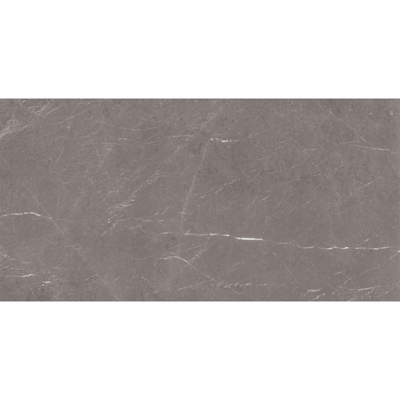 Mexen Gloster Grey sample of glazed rectified gres G1, floor and wall tile 120 x 60 cm, gloss - TL172-01-S