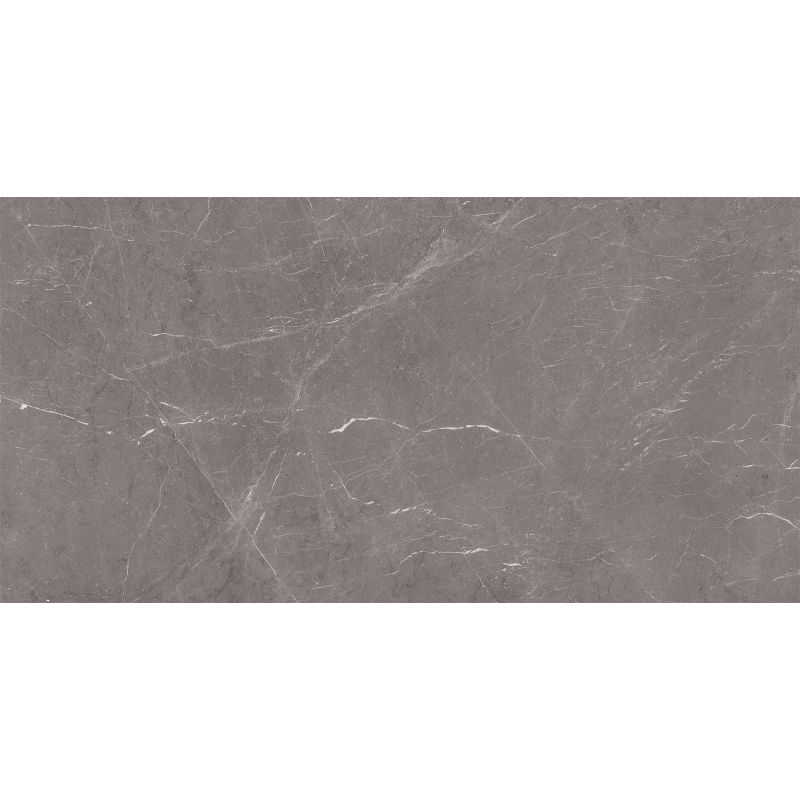 Mexen Gloster Grey sample of glazed rectified gres G1, floor and wall tile 120 x 60 cm, gloss - TL172-01-S
