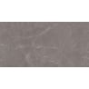 Mexen Gloster Grey sample of glazed rectified gres G1, floor and wall tile 120 x 60 cm, gloss - TL172-01-S