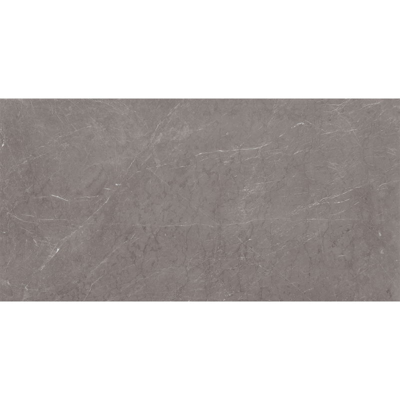 Mexen Gloster Grey sample of glazed rectified porcelain tile G1, floor-wall tile, gloss - TL172-01-S
