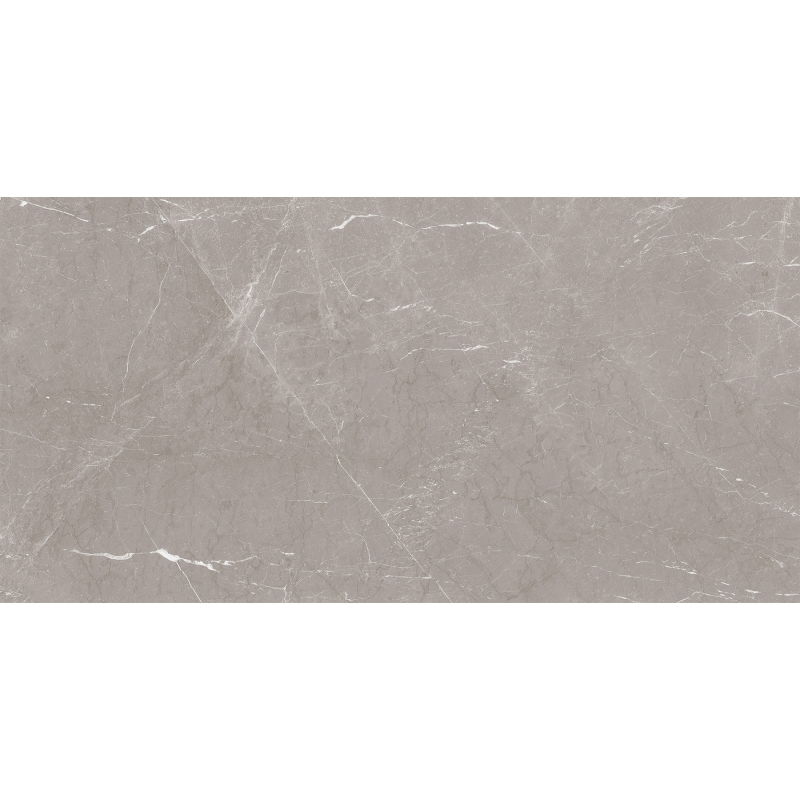 Mexen Gloster Light Grey Glazed Rectified Porcelain Tile Sample G1, Floor-Wall Tile 120 x 60 cm, Glossy - TL172-04-S