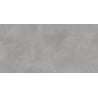 Mexen Mileo Light Grey glazed rectified stoneware sample. G1, floor-wall tile 120 x 60 cm, matte - TL301-05-S