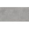 Mexen Mileo Light Grey glazed rectified stoneware sample. G1, floor-wall tile 120 x 60 cm, matte - TL301-05-S