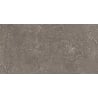 Mexen Inspira Brown glazed rectified porcelain stoneware sample G1, floor-wall tile, matte - TL303-01-S