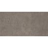 Mexen Inspira Brown glazed rectified porcelain stoneware sample G1, floor-wall tile, matte - TL303-01-S