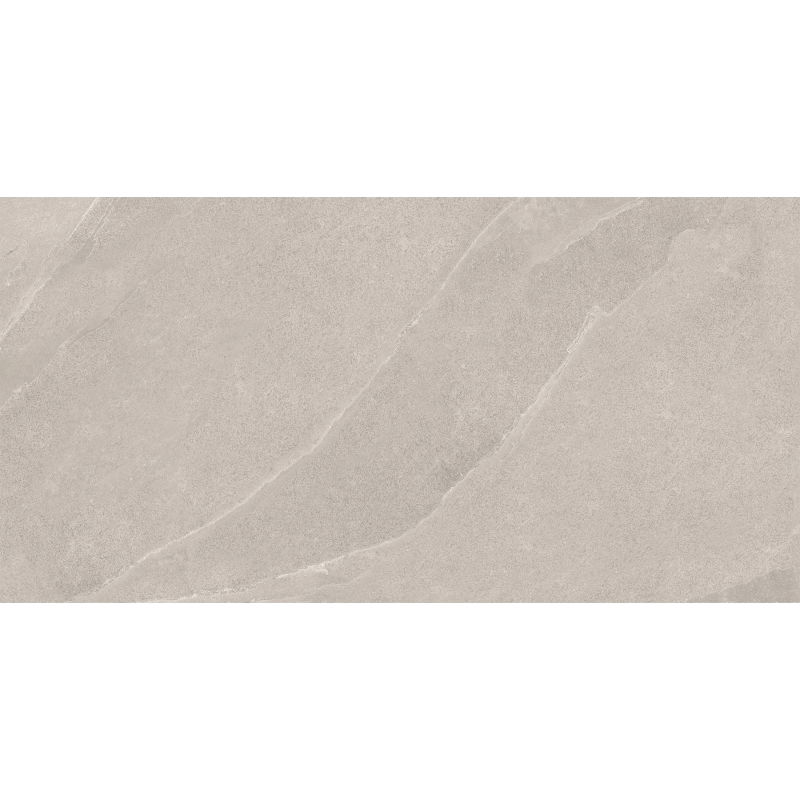 Mexen Aryan Silver glazed rectified gres sample G1, floor-wall tile, matte - TL310-05-S