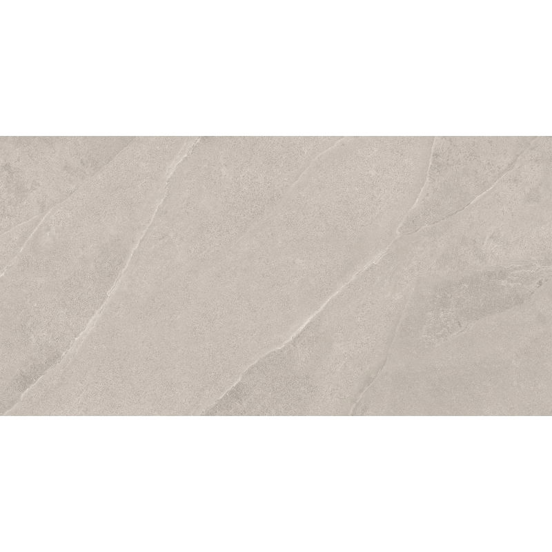 Mexen Aryan Silver glazed rectified gres sample G1, floor-wall tile, matte - TL310-05-S
