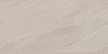 Mexen Aryan Silver glazed rectified gres sample G1, floor-wall tile, matte - TL310-05-S