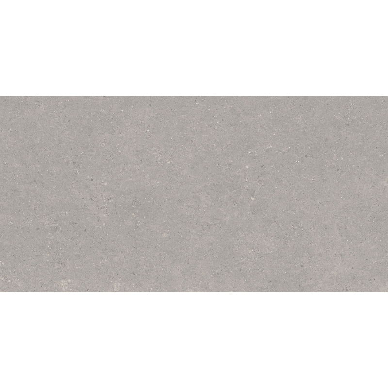 Mexen Monaco Grey sample of glazed rectified porcelain tile G1, floor-wall tile 120 x 60 cm, matte - TL313-02-S