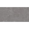 Mexen Runa Gray glazed rectified G1 stoneware sample, floor-wall tile, matte - TL323-01-S