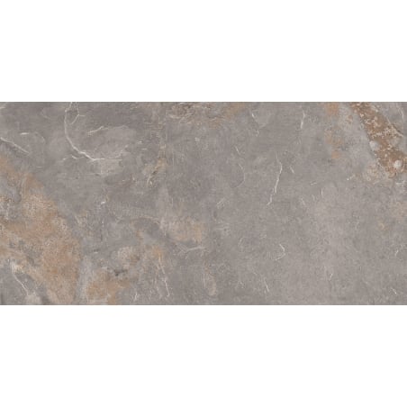 Mexen Rafael Fossil sample of rectified glazed stoneware, floor-wall tile 120 x 60 cm, matt - TL324-06-S