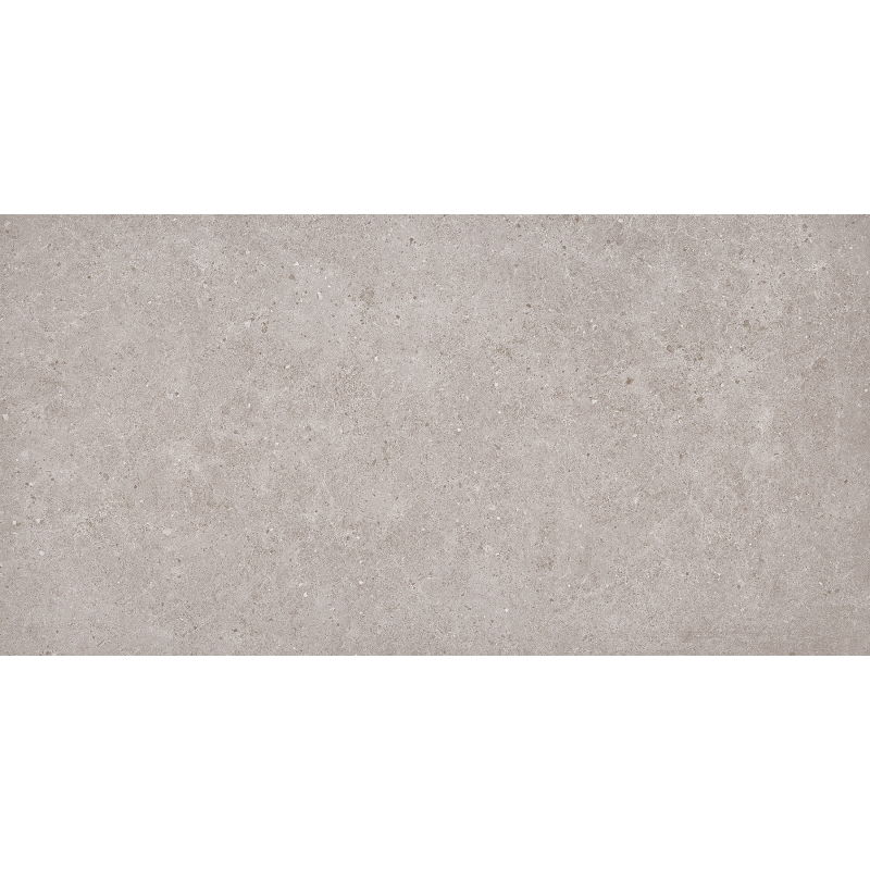 Mexen Town Silver glazed rectified porcelain stoneware sample. G1, floor and wall tile 120 x 60 cm, matte - TL325-04-S