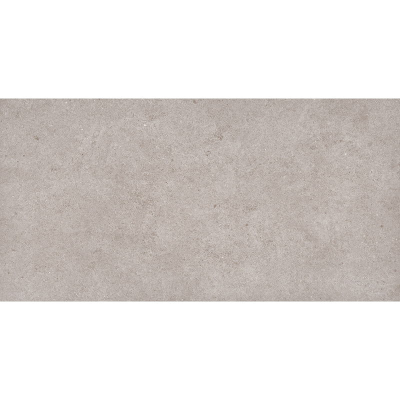 Mexen Town Silver glazed rectified porcelain stoneware sample. G1, floor and wall tile 120 x 60 cm, matte - TL325-04-S