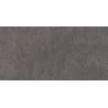 Mexen Elvas Ash glazed rectified stoneware sample, floor-wall tile 120 x 60 cm, matte - TL330-00-S