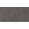 Mexen Elvas Ash glazed rectified stoneware sample, floor-wall tile 120 x 60 cm, matte - TL330-00-S