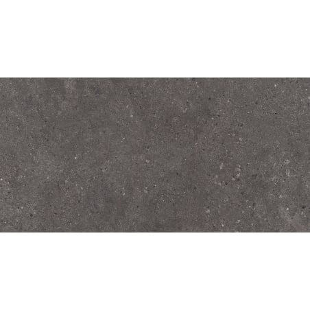 Mexen Elvas Ash glazed rectified stoneware sample, floor-wall tile 120 x 60 cm, matte - TL330-00-S