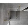 Mexen Mist-H L Duo Shower Enclosure Hinged 70 x 70 cm, Transparent, Gold - 8A5L-070L-070P-50-00