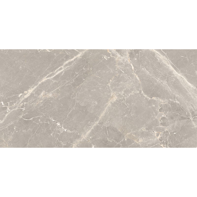 Mexen Dorado Grey glazed rectified gres sample G1, floor and wall tile 120 x 60 cm, carving - TL431-01-S
