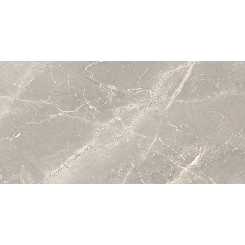 Mexen Dorado Grey glazed rectified gres sample G1, floor and wall tile 120 x 60 cm, carving - TL431-01-S