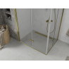 Mexen Lima Duo folding shower cabin 100 x 90 cm, transparent, gold - 856-100-090-50-00-02