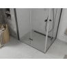 Mexen Lima Duo folding shower cubicle 100 x 90 cm, Transparent, Black - 856-100-090-70-00-02