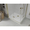 Mexen Lima Duo foldable shower cabin 100 x 90 cm, transparent, gold + Flat shower tray - 856-100-090-50-02-4010G