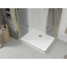 Mexen Lima Duo foldable shower cabin 100 x 90 cm, transparent, gold + Flat shower tray - 856-100-090-50-02-4010G