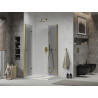 Mexen Lima Duo foldable shower cabin 100 x 90 cm, transparent, gold + Flat shower tray - 856-100-090-50-02-4010G