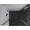 Mexen Pretoria Duo pivot shower cabin 80 x 70 cm, transparent, gold - 852-080-070-50-00-02