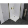 Mexen Pretoria Duo Hinged Shower Cabin 70 x 70 cm, Transparent, Gold + Flat Shower Tray - 852-070-070-50-02-4010G