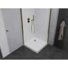 Mexen Pretoria Duo Pivot Shower Enclosure 70 x 70 cm, Transparent, Gold + Flat Tray - 852-070-070-50-02-4010G