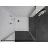 Mexen Pretoria Duo Hinged Shower Cabin 70 x 70 cm, Transparent, Gold + Flat Shower Tray - 852-070-070-50-02-4010G