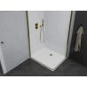 Mexen Pretoria Duo 80 x 70 cm Hinged Shower Enclosure, Transparent, Gold + Flat Tray - 852-080-070-50-02-4010G