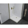 Mexen Pretoria Duo hinged shower cabin 90 x 80 cm, transparent, gold + Flat tray - 852-090-080-50-02-4010G