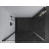 Mexen Pretoria Duo Swing Shower Cabin 100 x 90 cm, Transparent, Black - 852-100-090-70-00-02