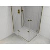 Mexen Roma Duo hinged shower cabin 80 x 70 cm, transparent, gold + Flat shower tray - 854-080-070-50-02-4010G
