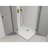 Mexen Roma Duo Hinged Shower Cabin 90 x 80 cm, Transparent, Gold + Flat Tray - 854-090-080-50-02-4010G