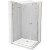 Mexen Roma Duo pivot shower cabin 100 x 90 cm, transparent, gold + Flat shower tray - 854-100-090-50-02-4010G