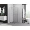 Mexen Exo-S Duo square sliding shower enclosure 95 x 95 cm, transparent, chrome - 8111-095-095-01-00